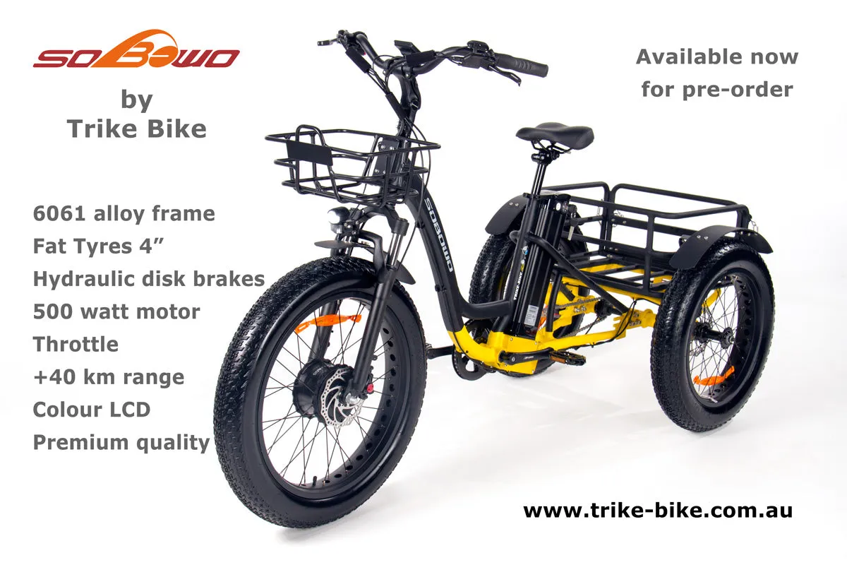 2024 24" Fat Trike Bike 48V 15Ah