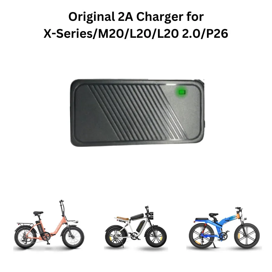 Engwe Battery Charger