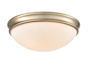 Flush Mount Fixture - Modern Gold - Etched White Glass - 14in. Diameter - E26 Medium Base