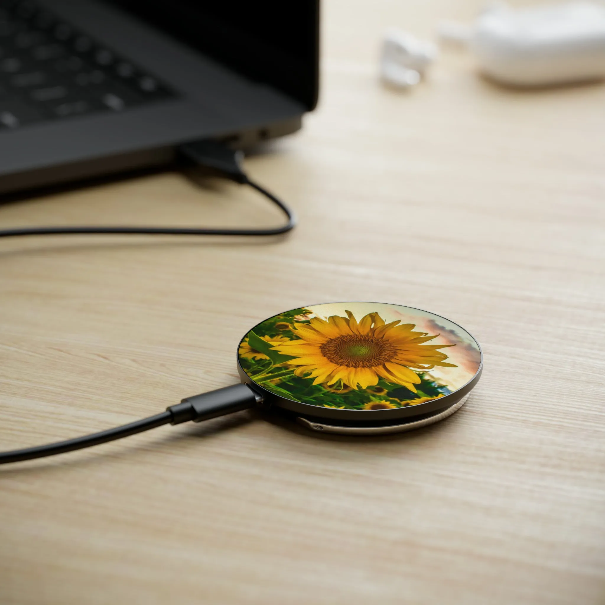 Magnetic Induction Charger